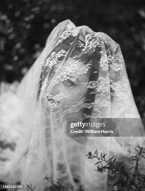 bride in veil - fayetteville stock pictures, royalty-free photos & images