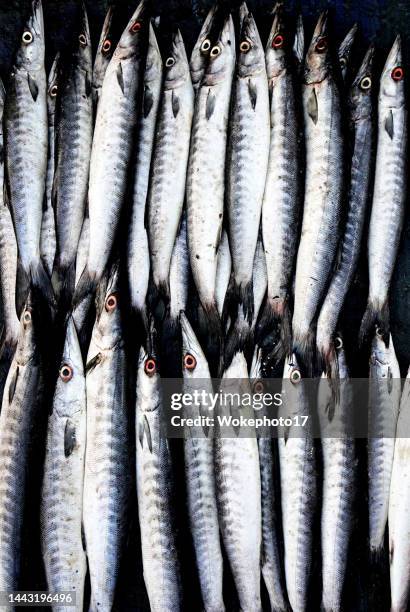 fresh fish - organic compound stock pictures, royalty-free photos & images