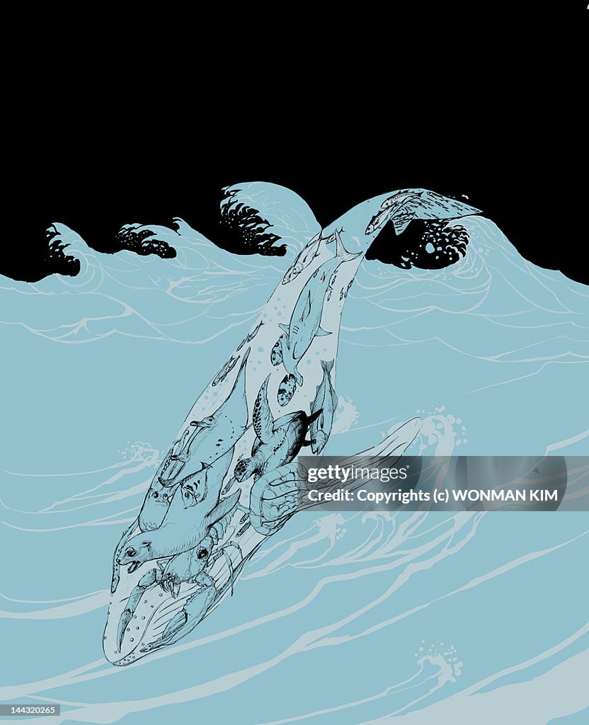 Holy whale