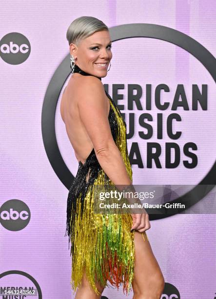 Pink attends the 2022 American Music Awards at Microsoft Theater on November 20, 2022 in Los Angeles, California.