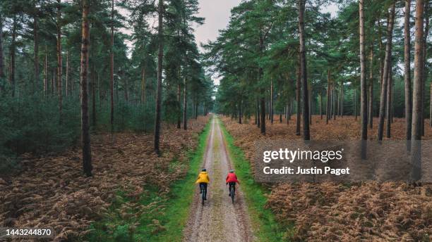 drone view of two cyclists in an autumnal forest - east anglia stock pictures, royalty-free photos & images