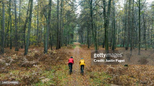 drone view of two cyclists in an autumnal forest - footpath photos stock pictures, royalty-free photos & images