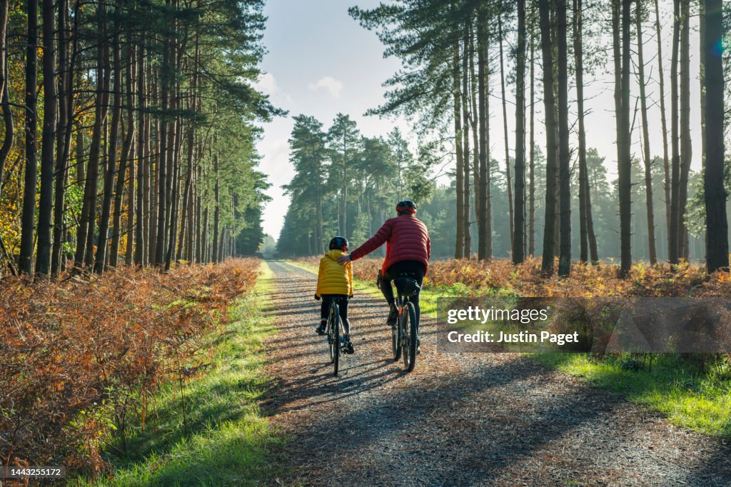 Rear view of a young girl cycling in the forest with her father on a beautiful autumnal sunny day