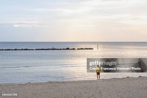 one man looking at view on the baltic sea, germany. - mecklenburg vorpommern 個照片及圖片檔