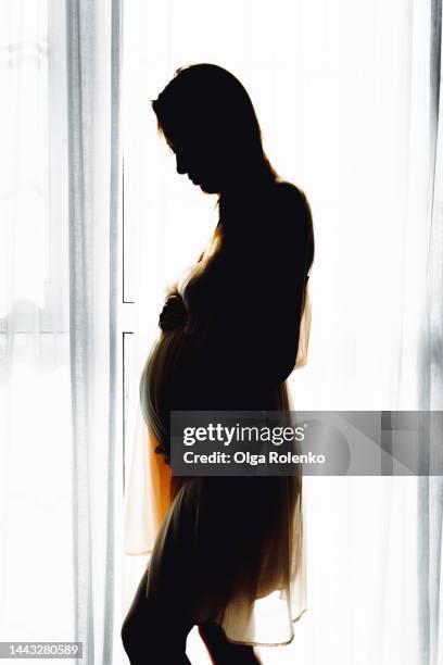 512 Pregnant Belly Silhouette Stock Photos, High-Res Pictures, and