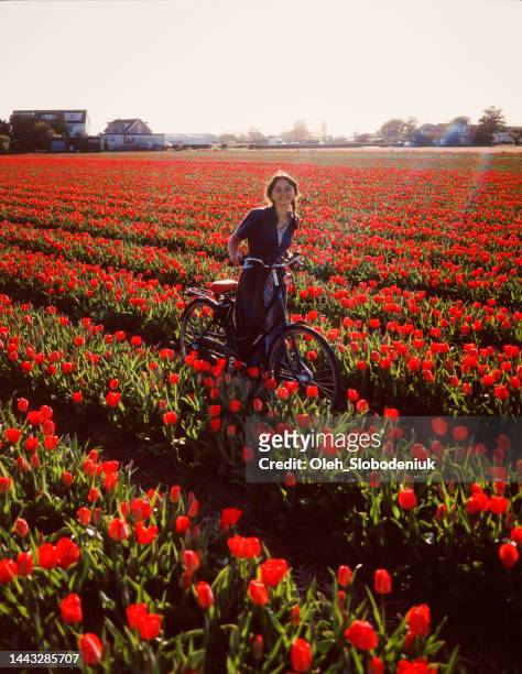 woman riding on bicycle on tulip field in the netherlands - bike flowers stock pictures, royalty-free photos & images