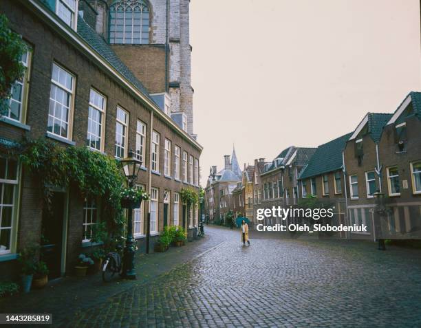 ライデンの雨の中を歩く女性 - south holland ストックフォトと画像