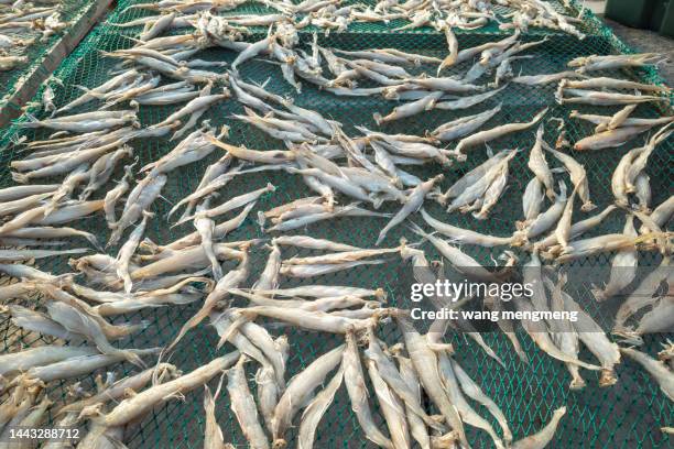 dried harpadon nehereus - sunomono stock pictures, royalty-free photos & images