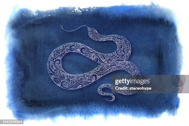 indigo snake - blu stock illustrations