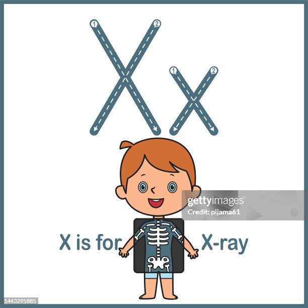 Ray Flashcard Flashcard Letter X Is For Xray Vector Illustration High-Res Vector ...