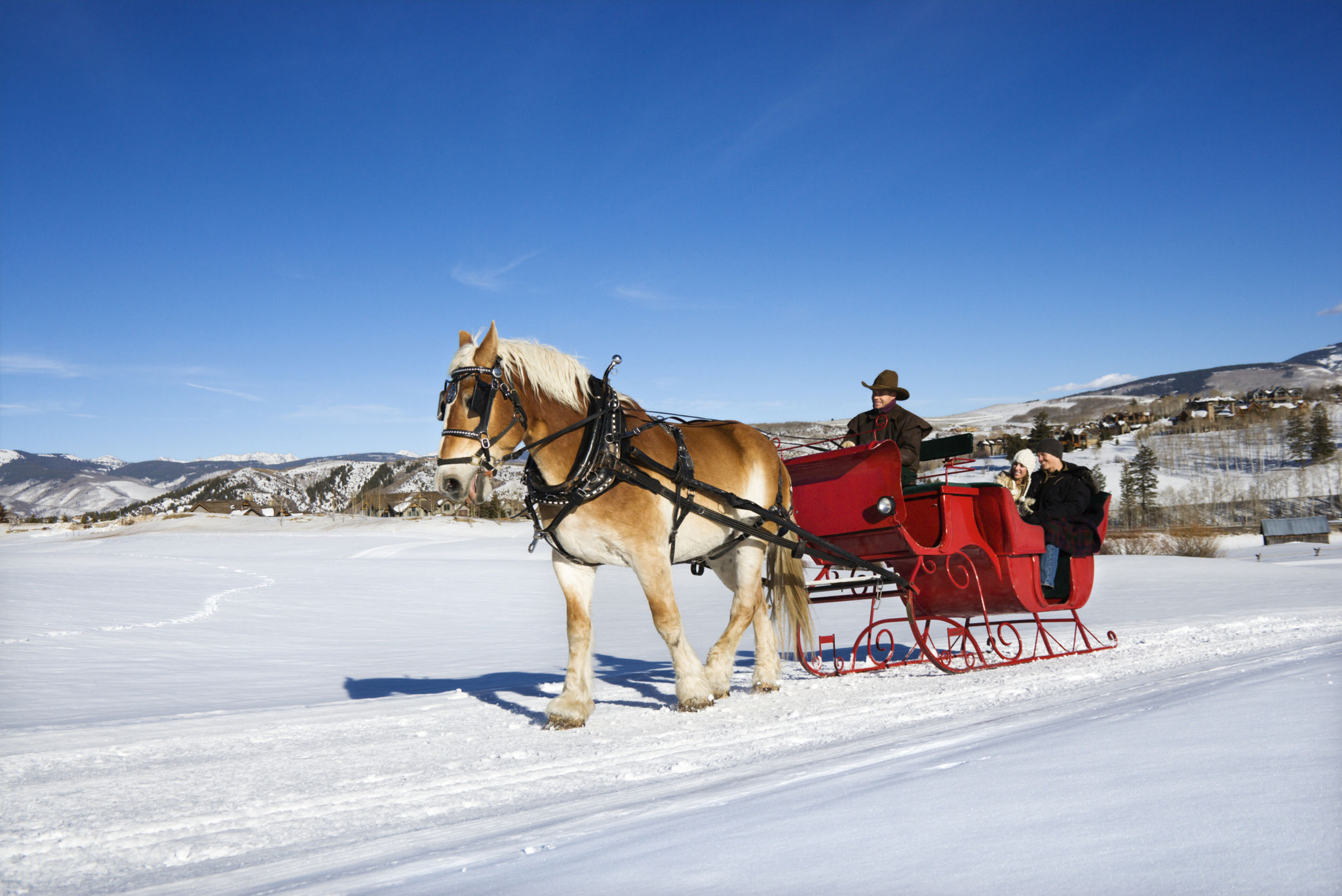 horse drawn sleigh
