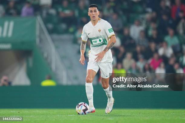 Enzo Roco 330 Roco Of Elche Stock Photos, High-Res Pictures, and Images - Getty ...