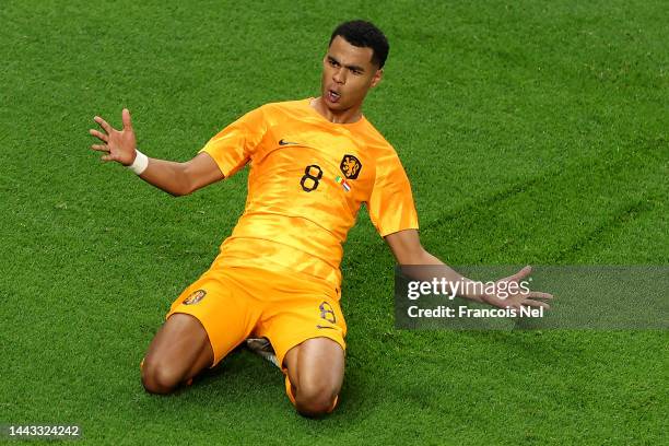 Cody Gakpo of Netherlands celebrates after scoring their team's first goal during the FIFA World Cup Qatar 2022 Group A match between Senegal and...