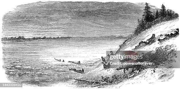 stockillustraties, clipart, cartoons en iconen met dogsled teams traveling across the tundra of alaska, united states  - 19th century - athabaskan