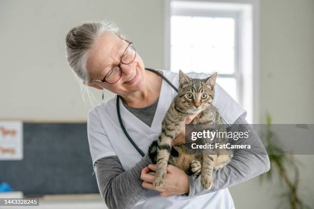 猫を持つ女性獣医師 - スポーツクリニック ストックフォトと画像