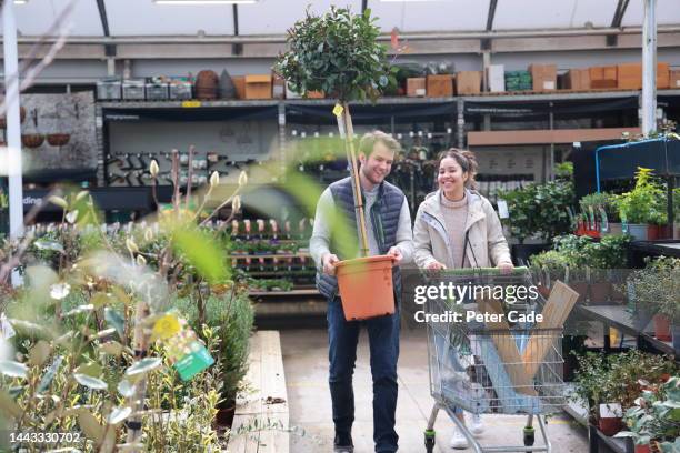 couple shopping at garden centre - tuincentrum stockfoto's en -beelden