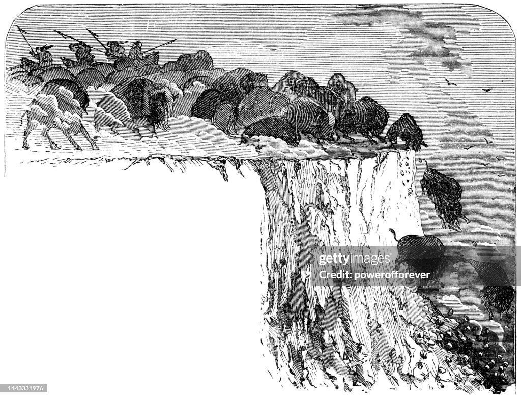 Niitsitapi Blackfoot People Driving American Bison Off A Buffalo Jump ...