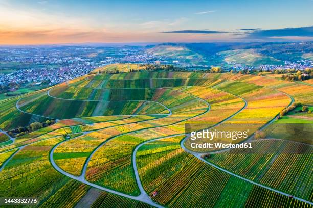 germany, baden-wurttemberg, drone view of hillside vineyards inremstalvalley - baden baden aerial fotografías e imágenes de stock