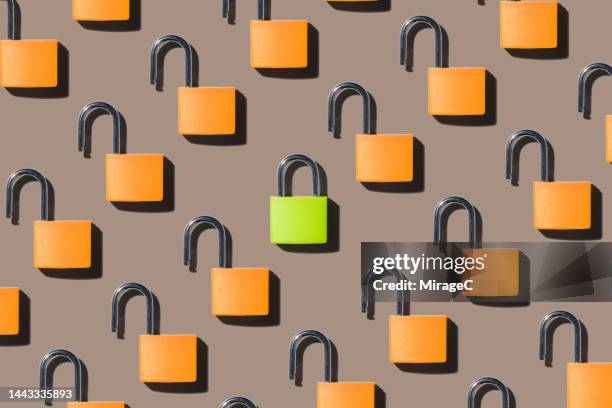 a locked lock standing out from locked locks - serrato foto e immagini stock