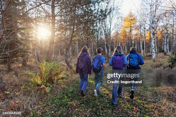 escursioni in famiglia nella foresta autunnale in una serata di sole - 12 17 mesi foto e immagini stock