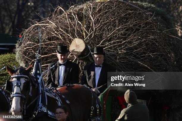 The official 2022 White House Christmas Tree arrives at the White House on November 21, 2022 in Washington, DC. This year’s tree is an 18 and a half...