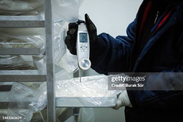 frozen food , coldness measurement - frys bildbanksfoton och bilder
