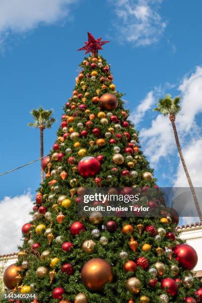 large outdoor christmas tree with palm trees - giant in los angeles ca photos et images de collection