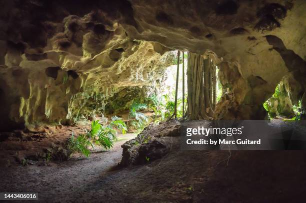 crystal caves, grand cayman, cayman islands - grand cayman islands foto e immagini stock