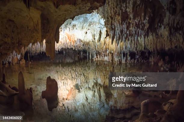 crystal caves, grand cayman, cayman islands - crystal caves stock-fotos und bilder