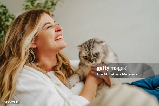 laughing blond woman holding and playing with gray cat in hands. copy space - cat laughing - fotografias e filmes do acervo