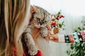 blond woman kissing holding her cat