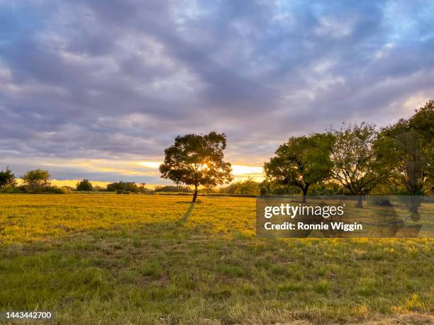 sunset tree landscape - grand teton national park sunset stock pictures, royalty-free photos & images