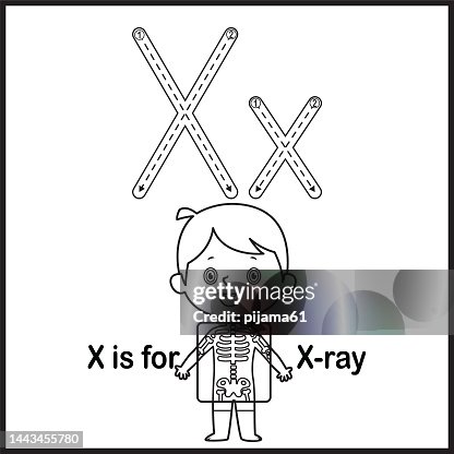 Ray Flashcard Flashcard Letter X Is For Xray Vector Illustration High-Res Vector ...