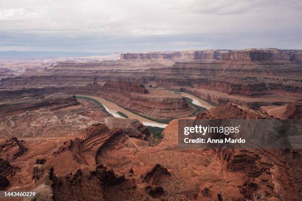 view onto the colorado river from dead horse point - utah state parks stock pictures, royalty-free photos & images