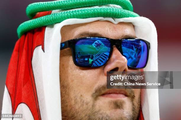 Fan of Wales looks on during the FIFA World Cup Qatar 2022 Group B match between USA and Wales at Ahmad Bin Ali Stadium on November 22, 2022 in Doha,...