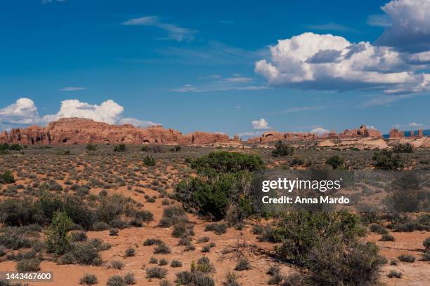 nature and landscape of arches national park - moab utah stock pictures, royalty-free photos & images