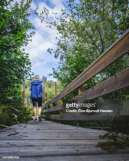 woman walks on a wooden bridge along a hiking trail - finn bjurvoll stock pictures, royalty-free photos & images