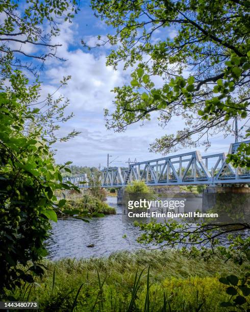 railway bridge over the river lagen in larvik norway. the picture was taken through an opening in the bushes - finn bjurvoll stockfoto's en -beelden