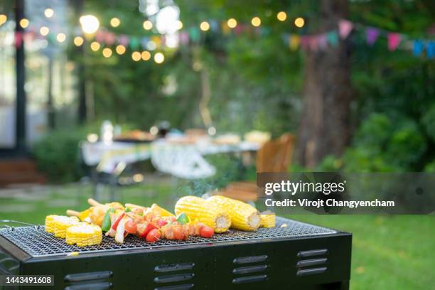 barbecue grill stove at backyard - bbq grill bildbanksfoton och bilder