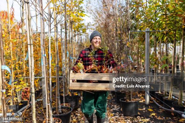 young man working at tree nursery carrying wooden crate with potted plants - botanist stock pictures, royalty-free photos & images