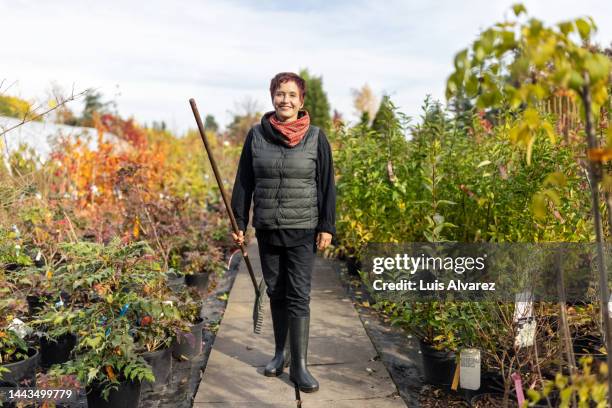 woman gardener holding a rake working in tree nursery - short trees bildbanksfoton och bilder