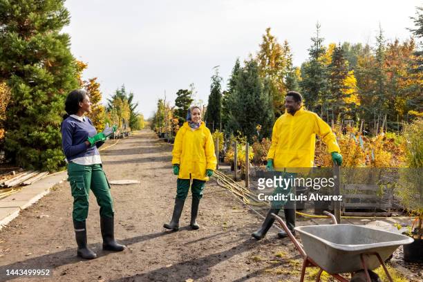 woman supervisor giving instructions to two gardeners at tree nursery - smiling professional at work tools stock-fotos und bilder