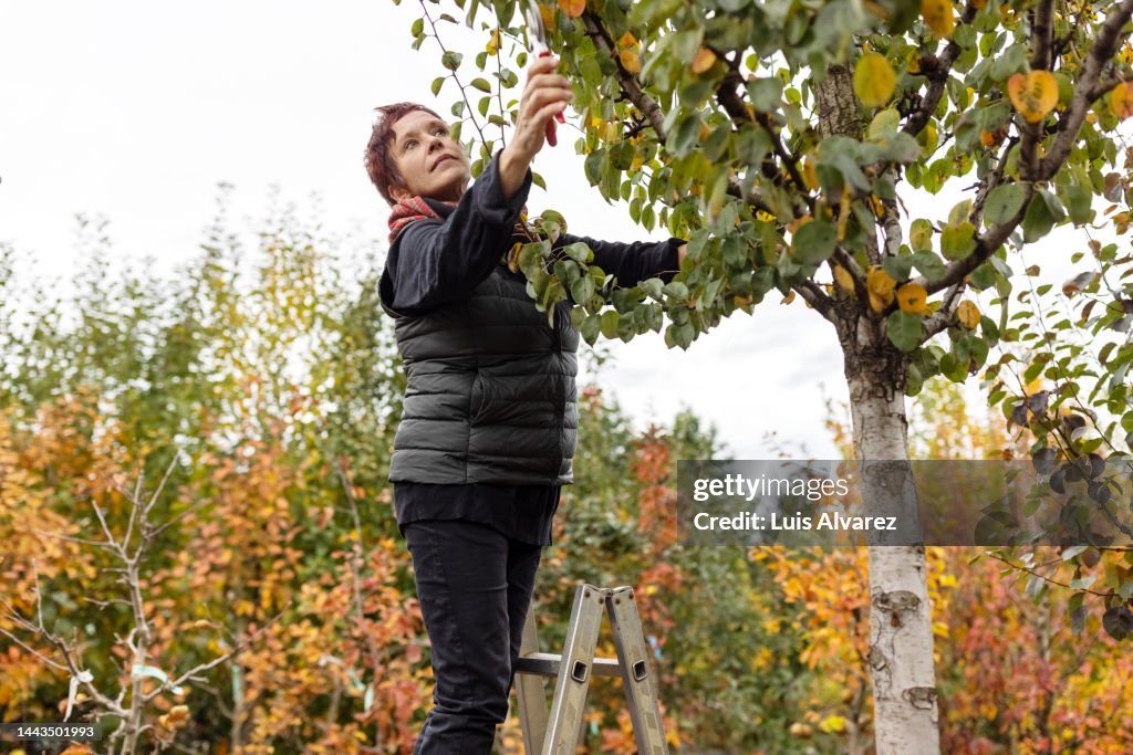 Woman gardener working at garden center