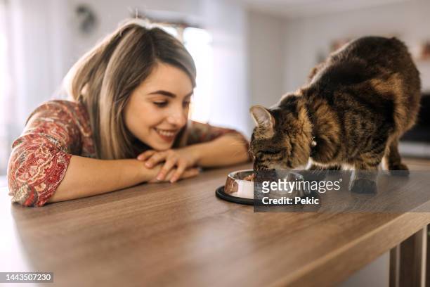 i love watching you eating - pet food dish stock pictures, royalty-free photos & images