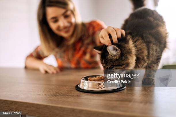 ich liebe es, dir beim essen zuzusehen - cat food stock-fotos und bilder