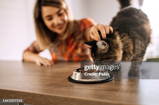 I love watching you eating I love watching you eating