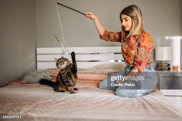 vamos a jugar un partido - caña de pescar fotografías e imágenes de stock