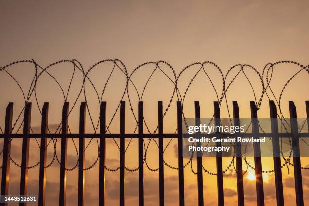 security fence - exercício militar imagens e fotografias de stock