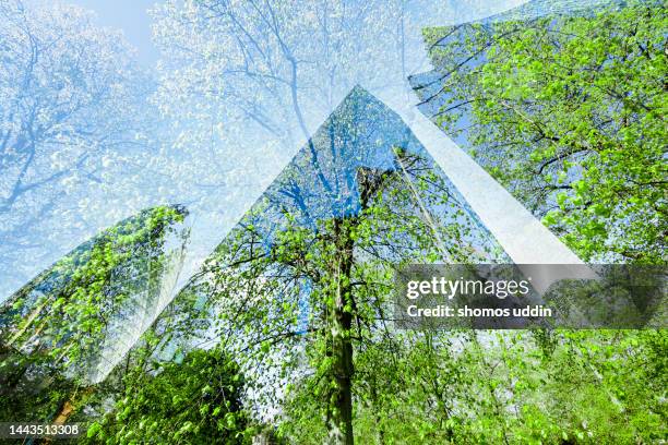 composite of trees and buildings in london financial district - climate finance stock pictures, royalty-free photos & images