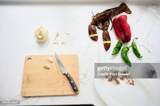 ingredients to make paella on white background seen from above - ingredientes stock-fotos und bilder